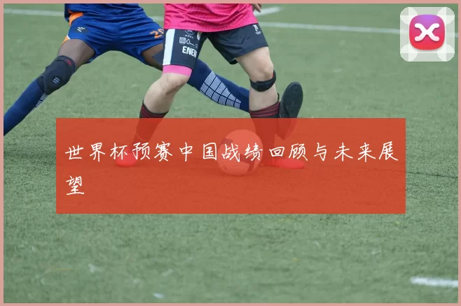 世界杯预赛中国战绩回顾与未来展望