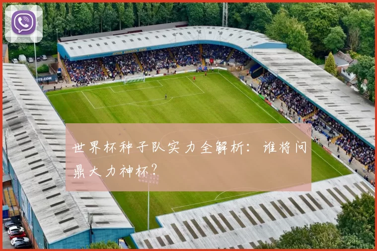 世界杯种子队实力全解析:谁将问鼎大力神杯?