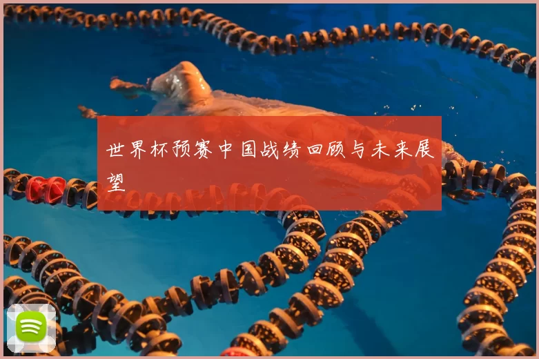 世界杯预赛中国战绩回顾与未来展望