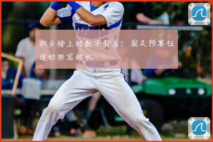 积分榜上的数字背后:国足预赛征途的跌宕起伏