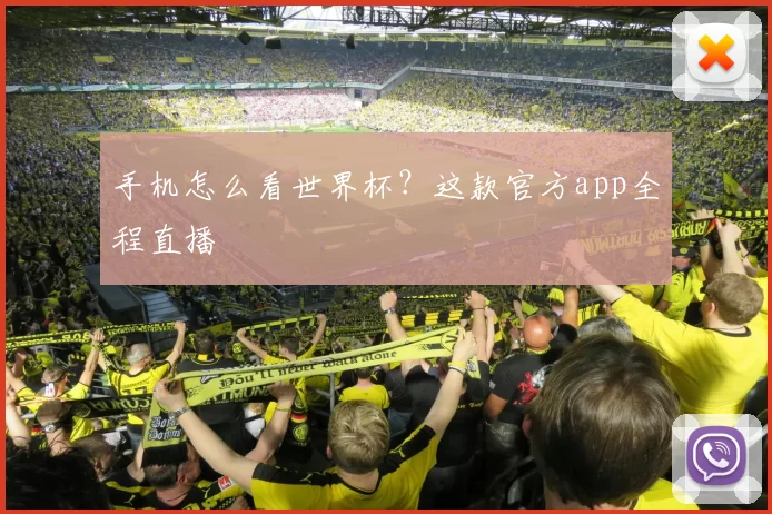 手机怎么看世界杯?这款官方app全程直播