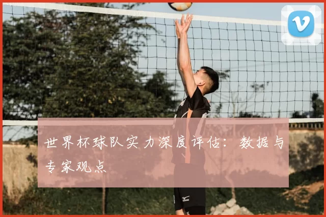 世界杯球队实力深度评估：数据与专家观点