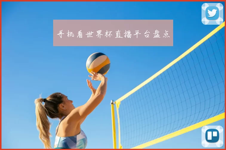 手机看世界杯直播平台盘点