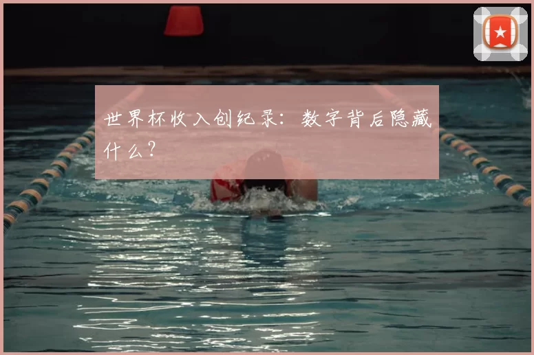 世界杯收入创纪录：数字背后隐藏什么？