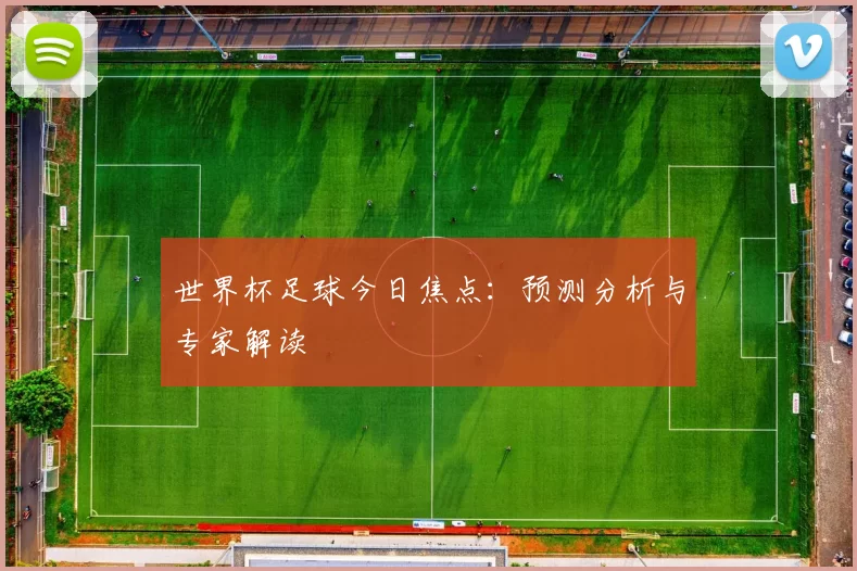 世界杯足球今日焦点：预测分析与专家解读