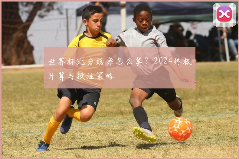 世界杯比分赔率怎么算？2024终极计算与投注策略