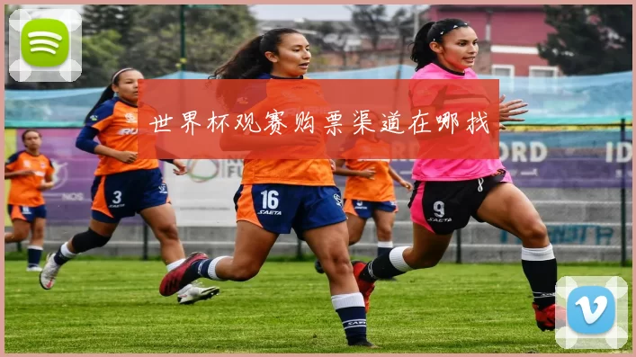 世界杯观赛购票渠道在哪找