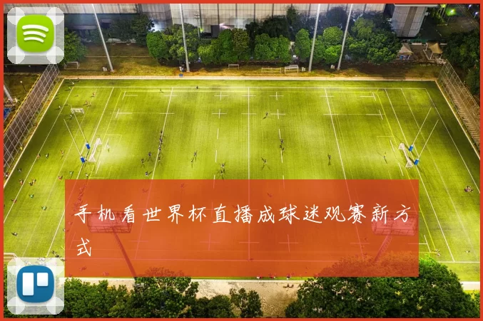 手机看世界杯直播成球迷观赛新方式