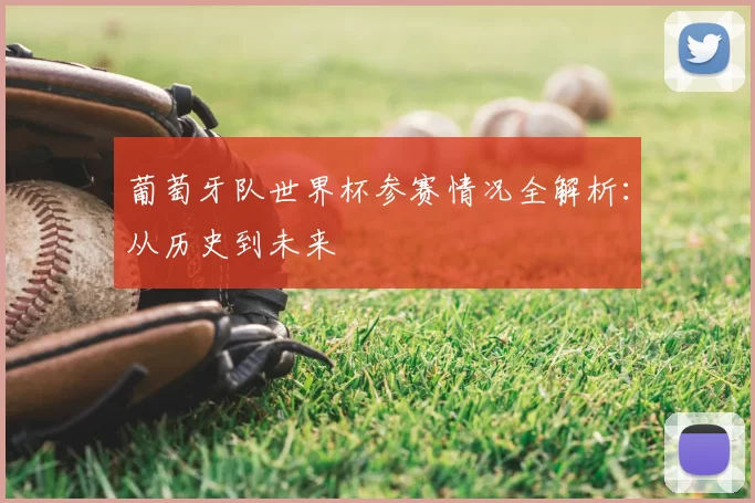 葡萄牙队世界杯参赛情况全解析:从历史到未来